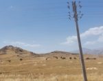 آتش زدن کاه و کلش از مشکلات جدی شهرستان بهبهان است