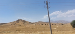 آتش زدن کاه و کلش از مشکلات جدی شهرستان بهبهان است