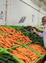 با برداشت هویج بهبهان قیمت‌ها متعادل می‌شود