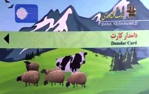 نخستین دامدار کارت کشور صادر شد+شرایط