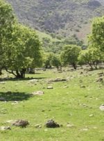 پایگاه اطفا حریق در بهبهان 50 درصد پیشرفت فیزیکی دارد