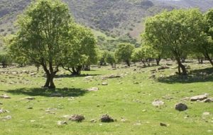 پایگاه اطفا حریق در بهبهان 50 درصد پیشرفت فیزیکی دارد