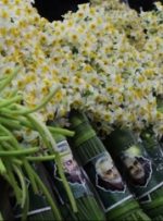 ۲۳ هزار شاخه گل نرگس بهبهان  به کرمان ارسال شد